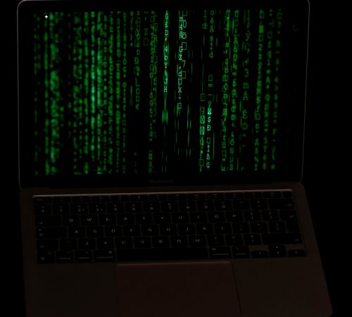 trg-CdzgzMlSGG4-unsplash